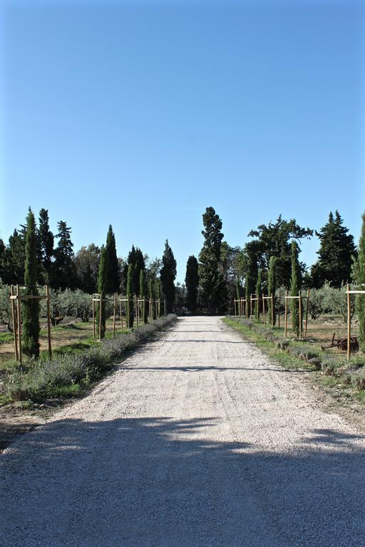 Domaine De Fontbelle Bed and Breakfast Graveson Εξωτερικό φωτογραφία