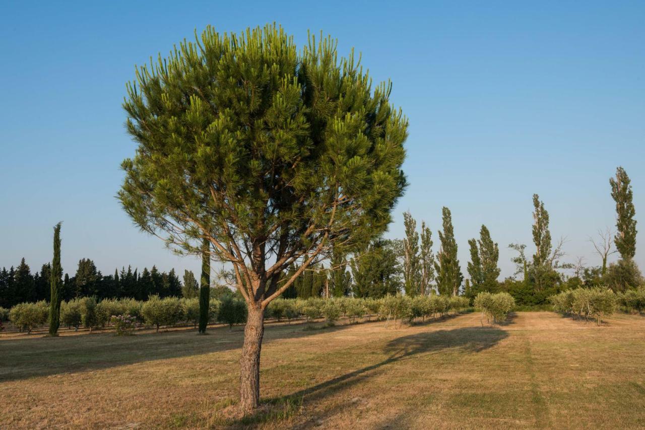 Domaine De Fontbelle Bed and Breakfast Graveson Εξωτερικό φωτογραφία